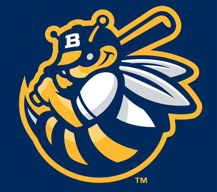 Burlington Bees 2007-Pres Cap Logo v2 iron on transfers for T-shirts